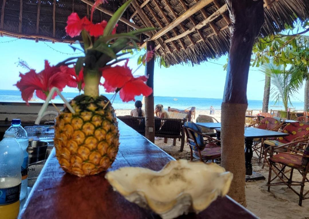 Sipano Beach Lodge Kiwengwa Kiwengwa  Dış mekan fotoğraf