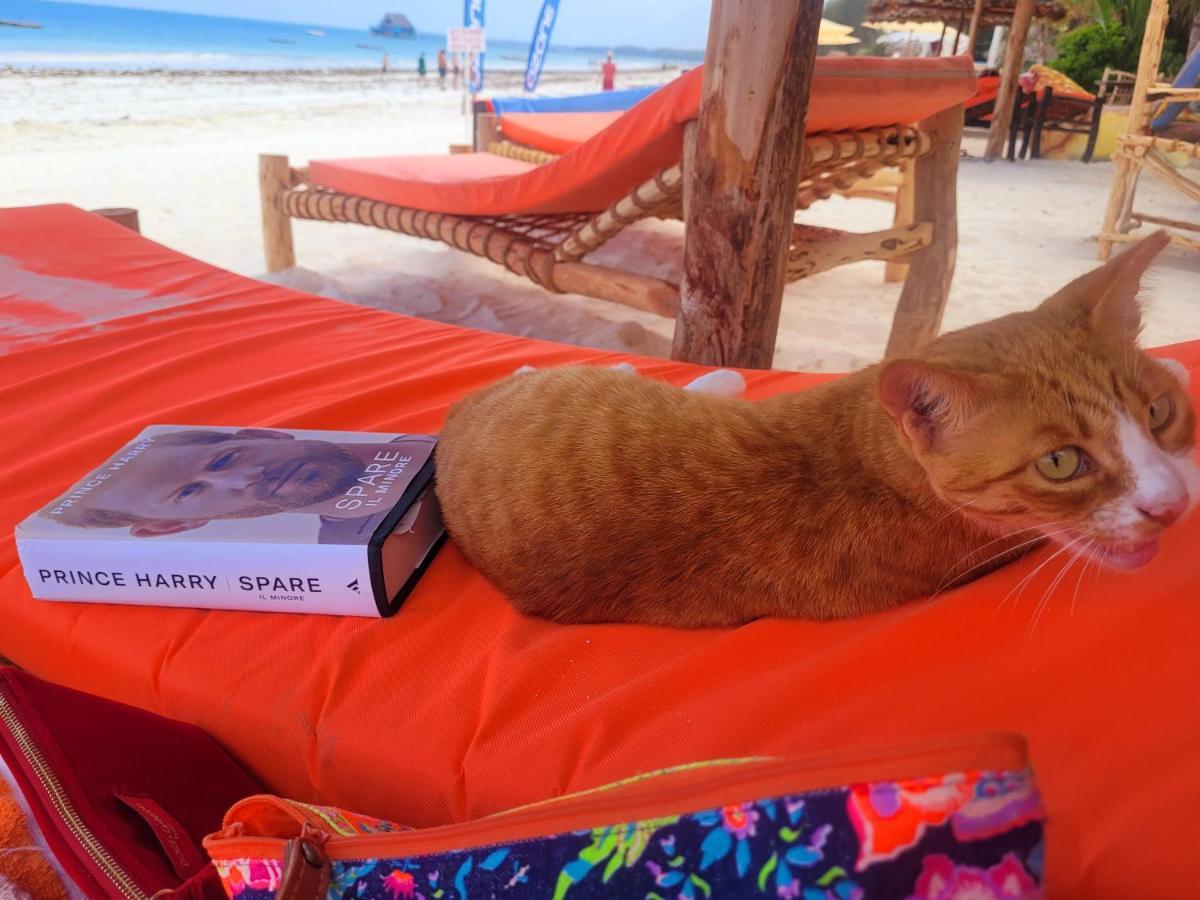 Sipano Beach Lodge Kiwengwa Kiwengwa  Dış mekan fotoğraf
