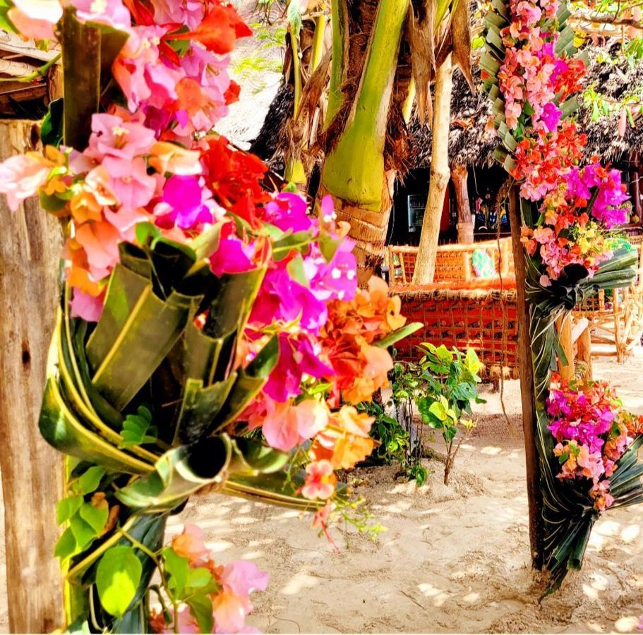 Sipano Beach Lodge Kiwengwa Kiwengwa  Dış mekan fotoğraf