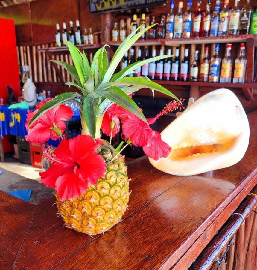 Sipano Beach Lodge Kiwengwa Kiwengwa  Dış mekan fotoğraf