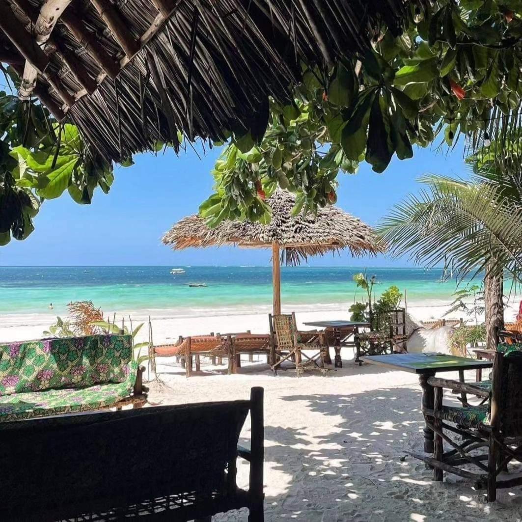 Sipano Beach Lodge Kiwengwa Kiwengwa  Dış mekan fotoğraf