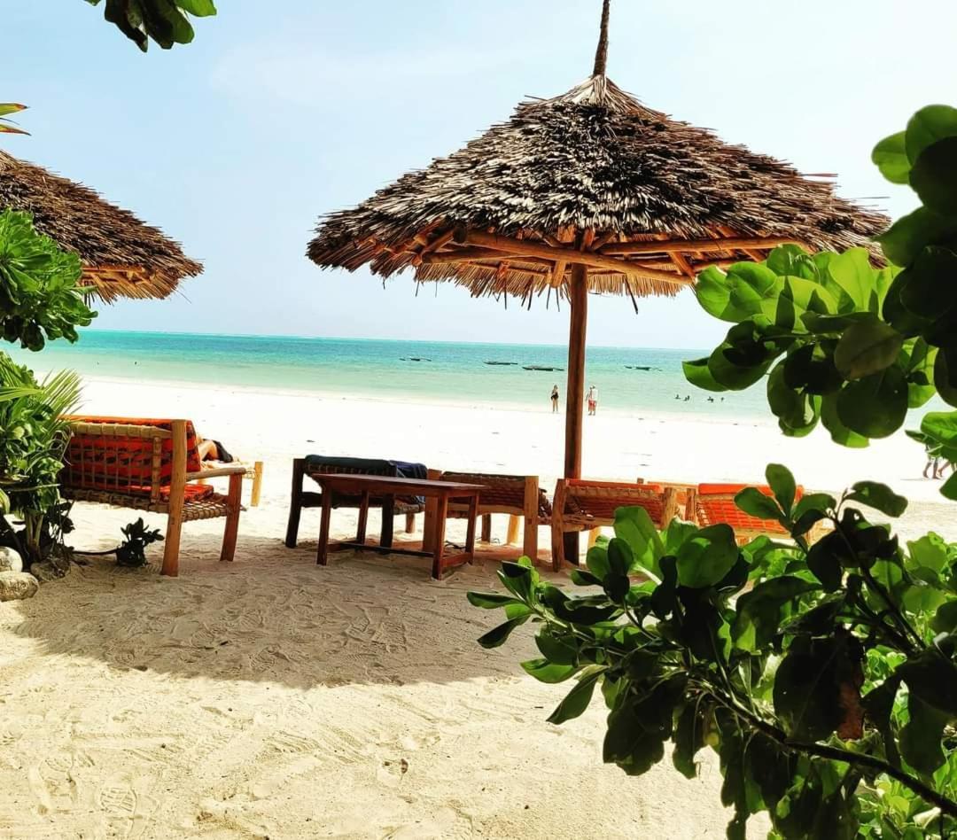Sipano Beach Lodge Kiwengwa Kiwengwa  Dış mekan fotoğraf