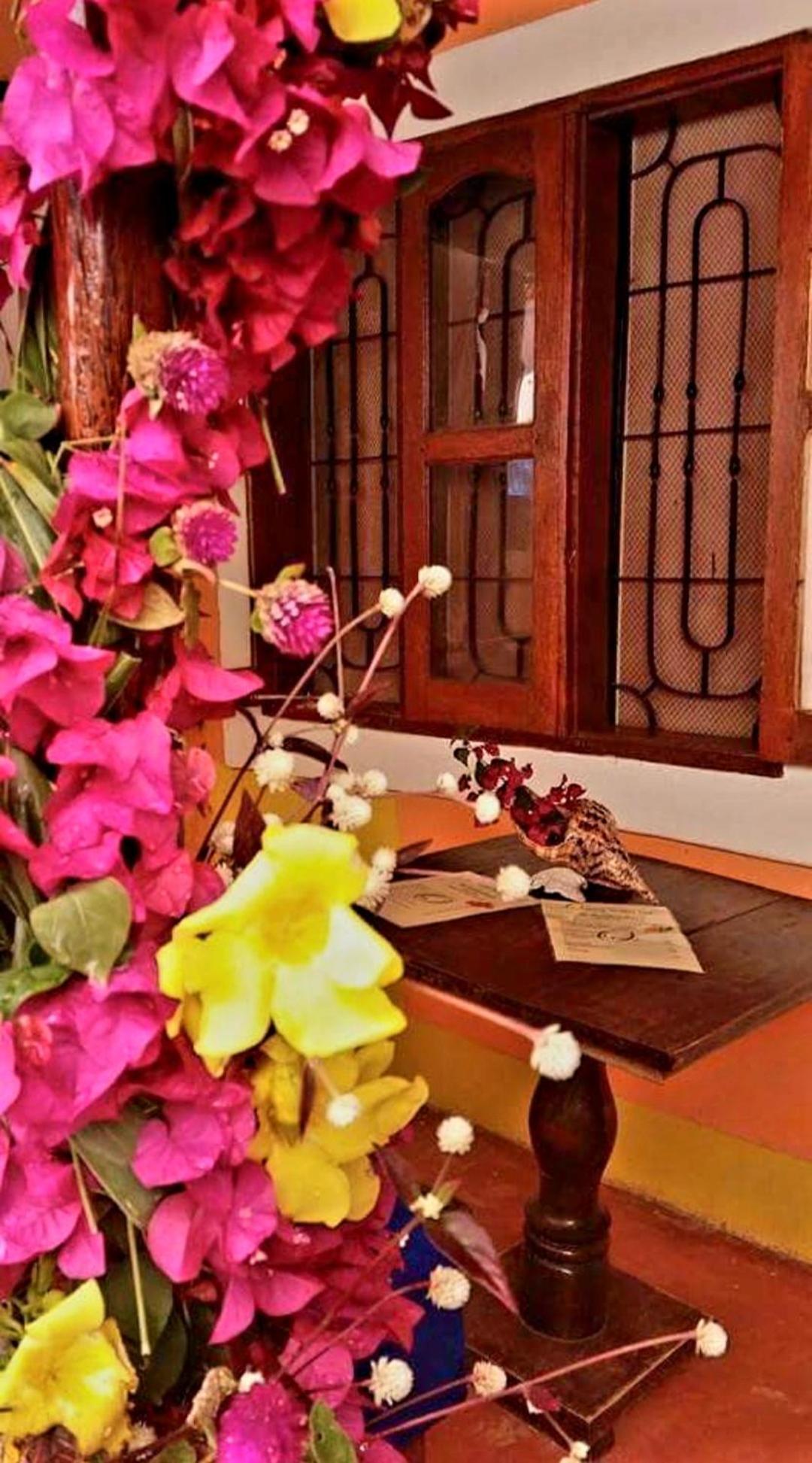 Sipano Beach Lodge Kiwengwa Kiwengwa  Dış mekan fotoğraf