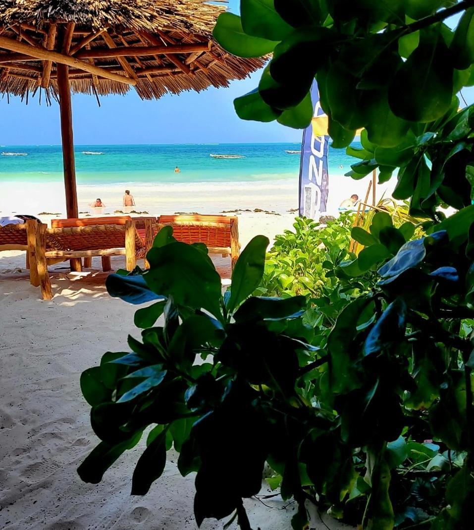 Sipano Beach Lodge Kiwengwa Kiwengwa  Dış mekan fotoğraf
