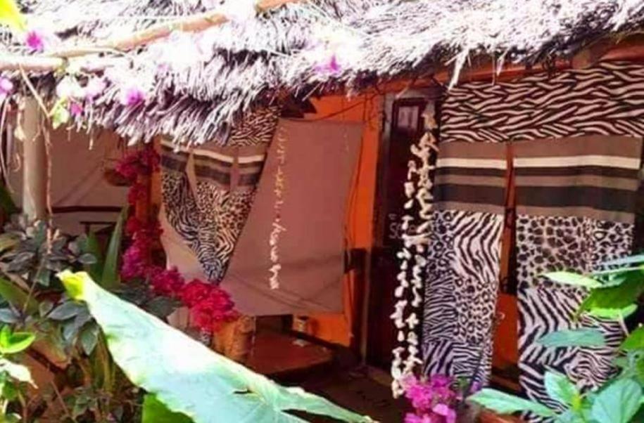 Sipano Beach Lodge Kiwengwa Kiwengwa  Dış mekan fotoğraf