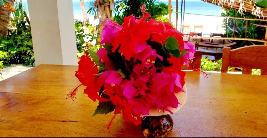 Sipano Beach Lodge Kiwengwa Kiwengwa  Dış mekan fotoğraf