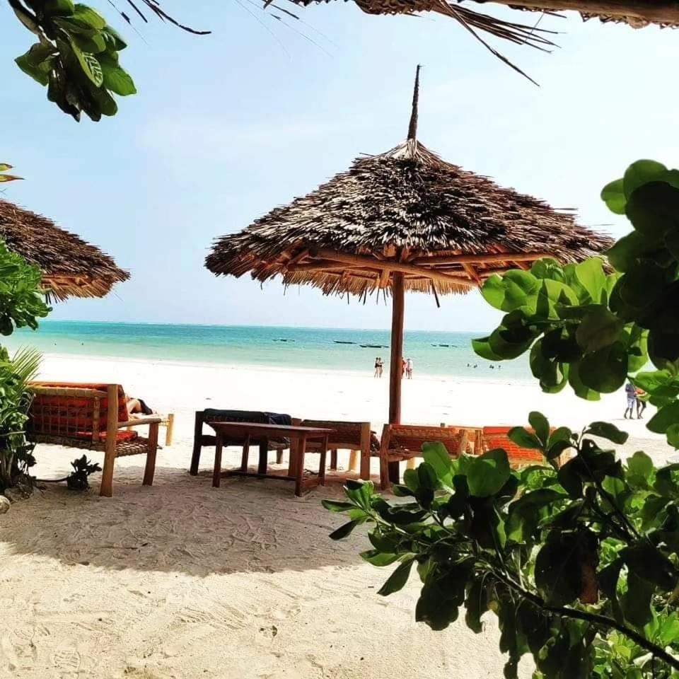 Sipano Beach Lodge Kiwengwa Kiwengwa  Dış mekan fotoğraf