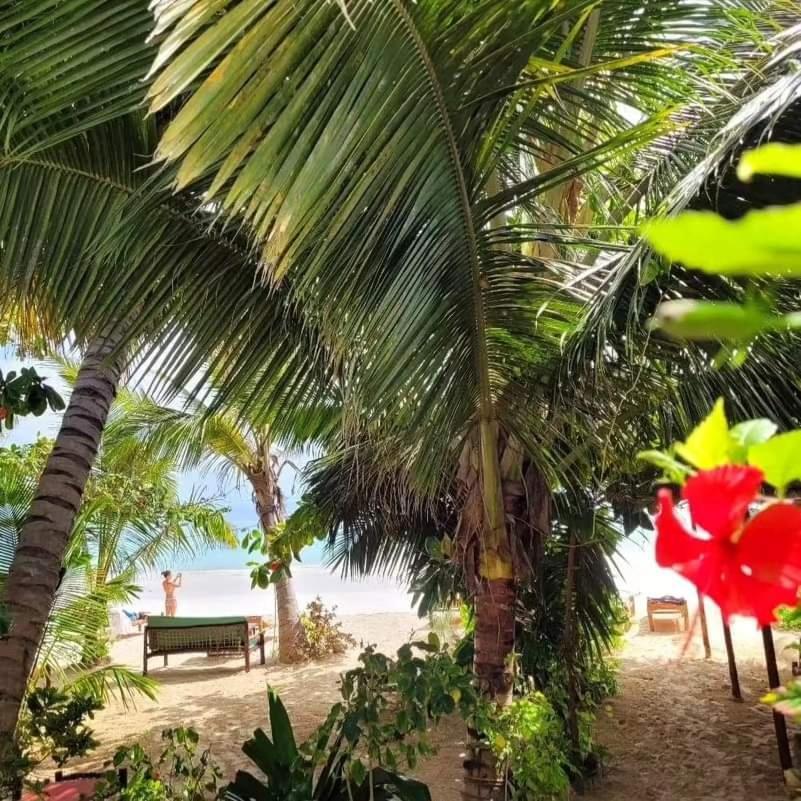 Sipano Beach Lodge Kiwengwa Kiwengwa  Dış mekan fotoğraf