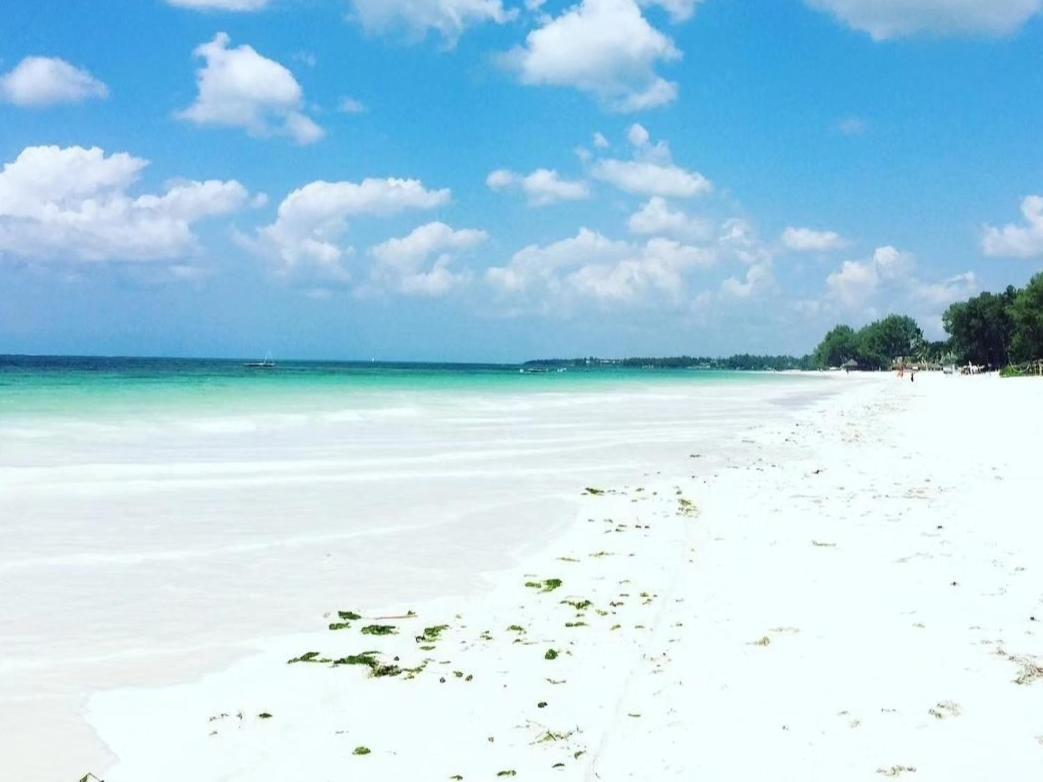 Sipano Beach Lodge Kiwengwa Kiwengwa  Dış mekan fotoğraf